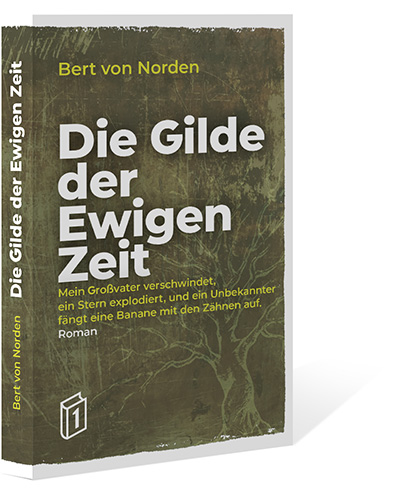 Roman Die Gilde der Ewigen Zeit von Bert von Norden